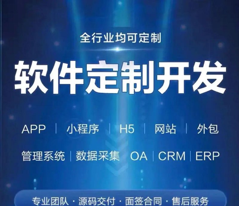 软件定制开发选购指南