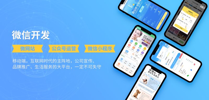 构建高效企业管理体系：选择合适的企业管理系统开发方案
